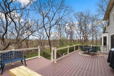 165 Spring Leigh Ct, Ballwin, MO 63011 photo 16