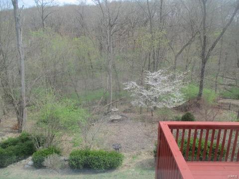 17543 Garden Ridge Cir, Glencoe, MO 63038 photo 28