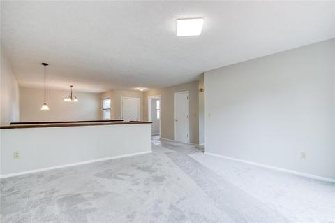 976 Barbizon, Manchester, MO 63021 photo 10