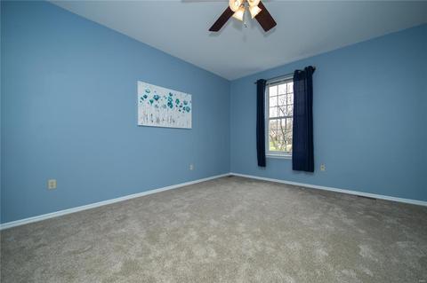 294 Dickens Farm Ln, Ballwin, MO 63021 photo 16