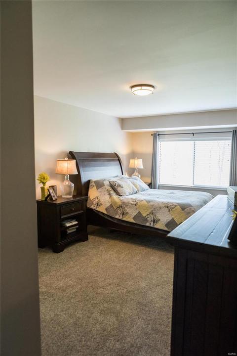 62 Georgetown Cir, O'fallon, MO 63368 photo 29