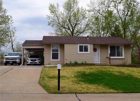 204 Wild Winds Dr, O'fallon, MO 63368 photo 1
