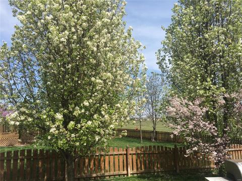 154 Mccluer Dr, O'fallon, MO 63368 photo 6