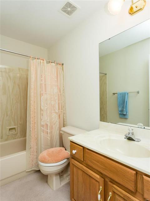 302 Oxford Ridge Ct, Ellisville, MO 63021 photo 45