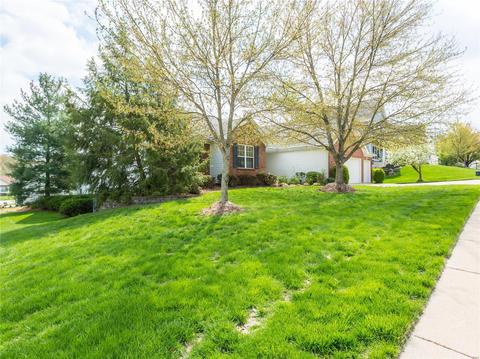 302 Oxford Ridge Ct, Ellisville, MO 63021 photo 67