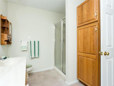 302 Oxford Ridge Ct, Ellisville, MO 63021 photo 36