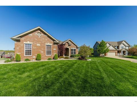702 Hedgewood Ct, O'fallon, MO 63368 photo 64