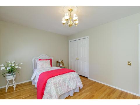319 Annondale, Ballwin, MO 63011 photo 16
