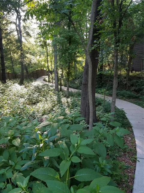 1513 Autumn Leaf Dr, Ballwin, MO 63021 photo 21