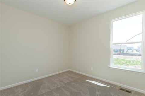 1811 Rivercroft Ct, O'fallon, MO 63366 photo 18