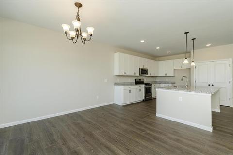 1811 Rivercroft Ct, O'fallon, MO 63366 photo 24