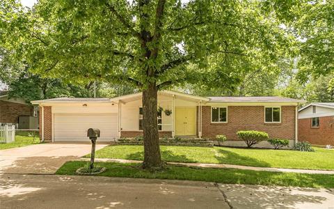 1228 Dorne Dr, Manchester, MO 63021 photo 4
