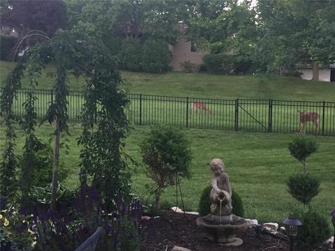 894 Rusticmanor Cir, Ballwin, MO 63011 photo 89