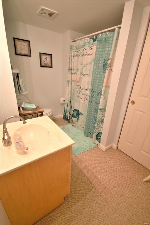 249 Kildare, O'fallon, MO 63366 photo 20