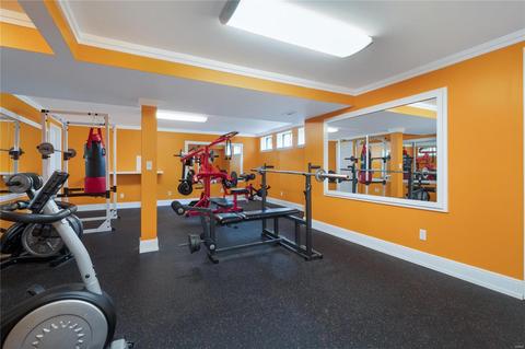 7 N Lang Dr, O'fallon, MO 63366 photo 28