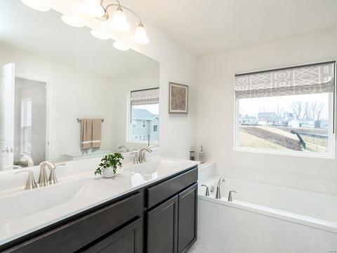 318 Narrowleaf Ln, O'fallon, MO 63366 photo 6