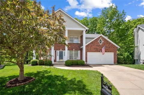 206 Oakwood Terrace Ct, Ballwin, MO 63021 photo 40