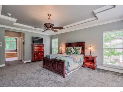 778 Southbrook Forest Ct, Weldon Spring, MO 63304 photo 20