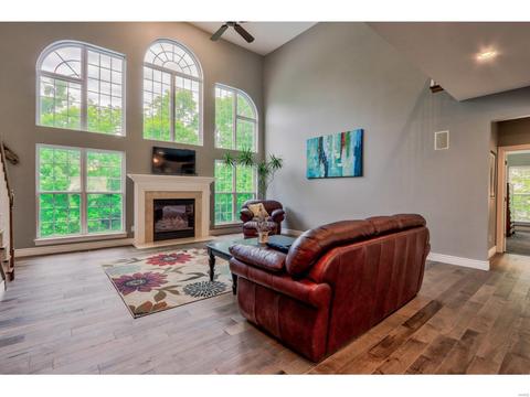 778 Southbrook Forest Ct, Weldon Spring, MO 63304 photo 8