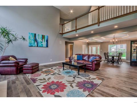 778 Southbrook Forest Ct, Weldon Spring, MO 63304 photo 10