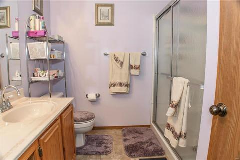 121 Bonnybridge Ct, Ellisville, MO 63021 photo 31