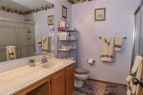 121 Bonnybridge Ct, Ellisville, MO 63021 photo 32