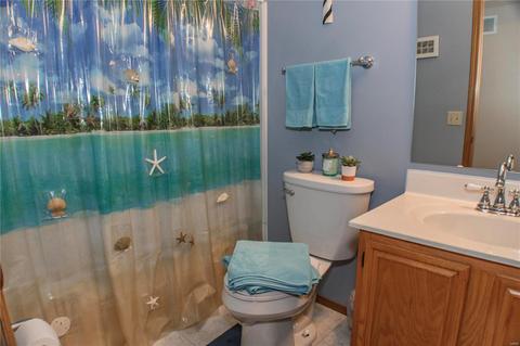 121 Bonnybridge Ct, Ellisville, MO 63021 photo 24