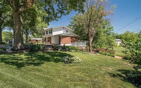 246 Pine Tree Ln, Ballwin, MO 63011 photo 2
