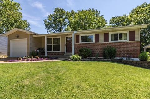 424 Lindy Blvd, Manchester, MO 63021 photo 33