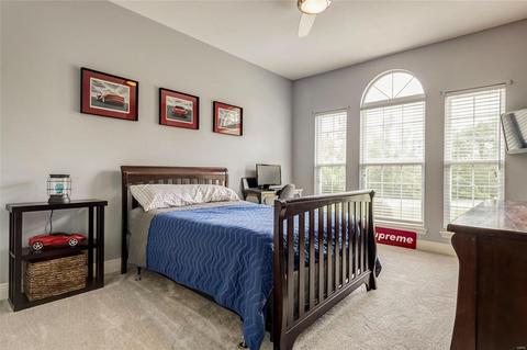 304 Avanti Ct, O'fallon, MO 63368 photo 25