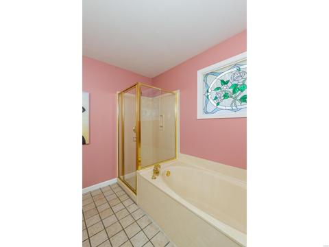 821 Laura Lee Dr, O'fallon, MO 63366 photo 18