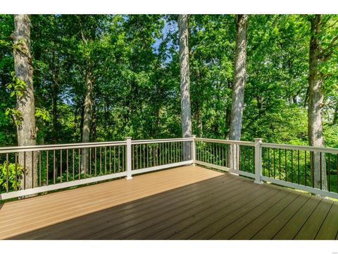 821 Laura Lee Dr, O'fallon, MO 63366 photo 12