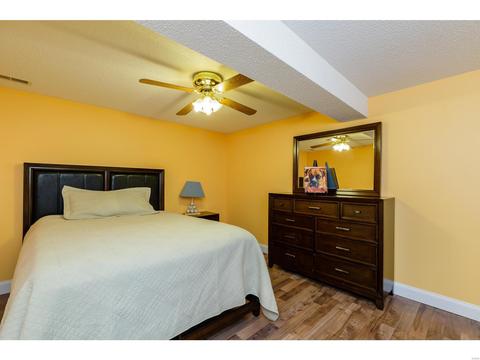 821 Laura Lee Dr, O'fallon, MO 63366 photo 28