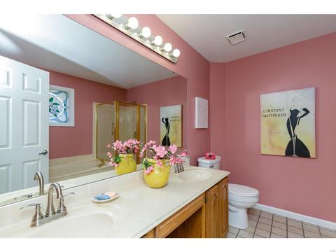 821 Laura Lee Dr, O'fallon, MO 63366 photo 17