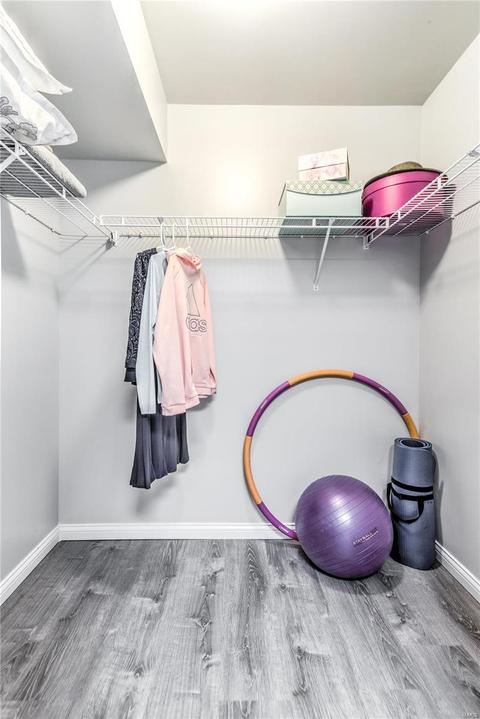 441 Winter Wind Dr, O'fallon, MO 63366 photo 19