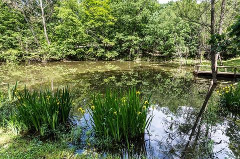 17547 Thunder Vly, Wildwood, MO 63025 photo 38