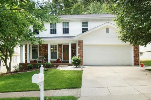 544 Woodlyn Xing, Ballwin, MO 63021 photo 38