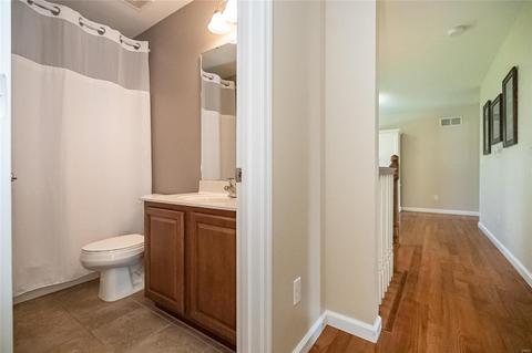 823 Harmony Vw, Saint Peters, MO 63376 photo 33