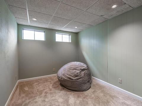 13390 Hiddengarden Ct, Ballwin, MO 63021 photo 22