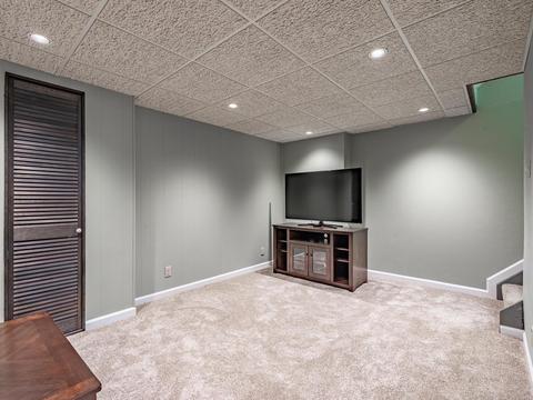 13390 Hiddengarden Ct, Ballwin, MO 63021 photo 21