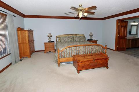 9 Turtle Dove Ct, O'fallon, MO 63368 photo 20