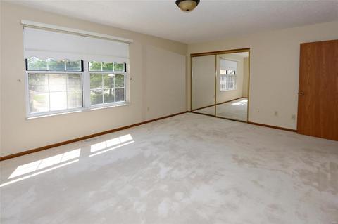 255 Carmel Woods Dr, Ellisville, MO 63021 photo 18