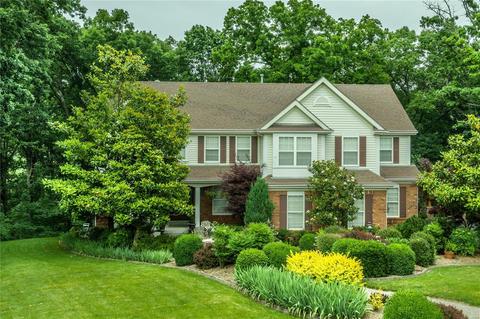 16302 Sheffield Point Ct, Wildwood, MO 63021 photo 1