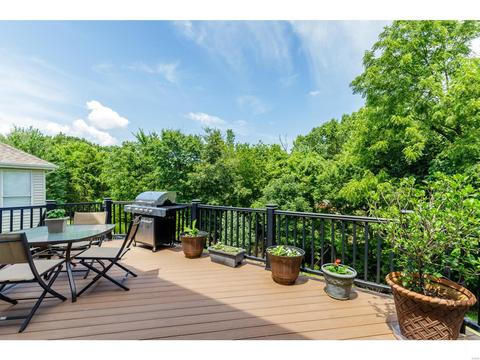 1167 Oak Borough Dr, Ballwin, MO 63021 photo 36