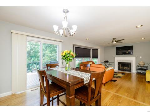 1167 Oak Borough Dr, Ballwin, MO 63021 photo 9