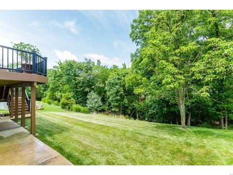 1167 Oak Borough Dr, Ballwin, MO 63021 photo 40