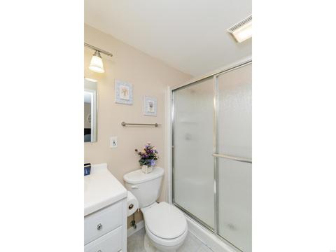 1167 Oak Borough Dr, Ballwin, MO 63021 photo 35