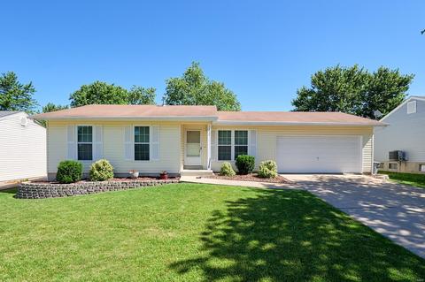 1317 Manuka Dr, O'fallon, MO 63366 photo 1