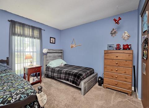 1317 Manuka Dr, O'fallon, MO 63366 photo 12