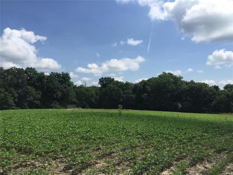 103 Chestnut Dr, Winfield, MO 63389 photo 1